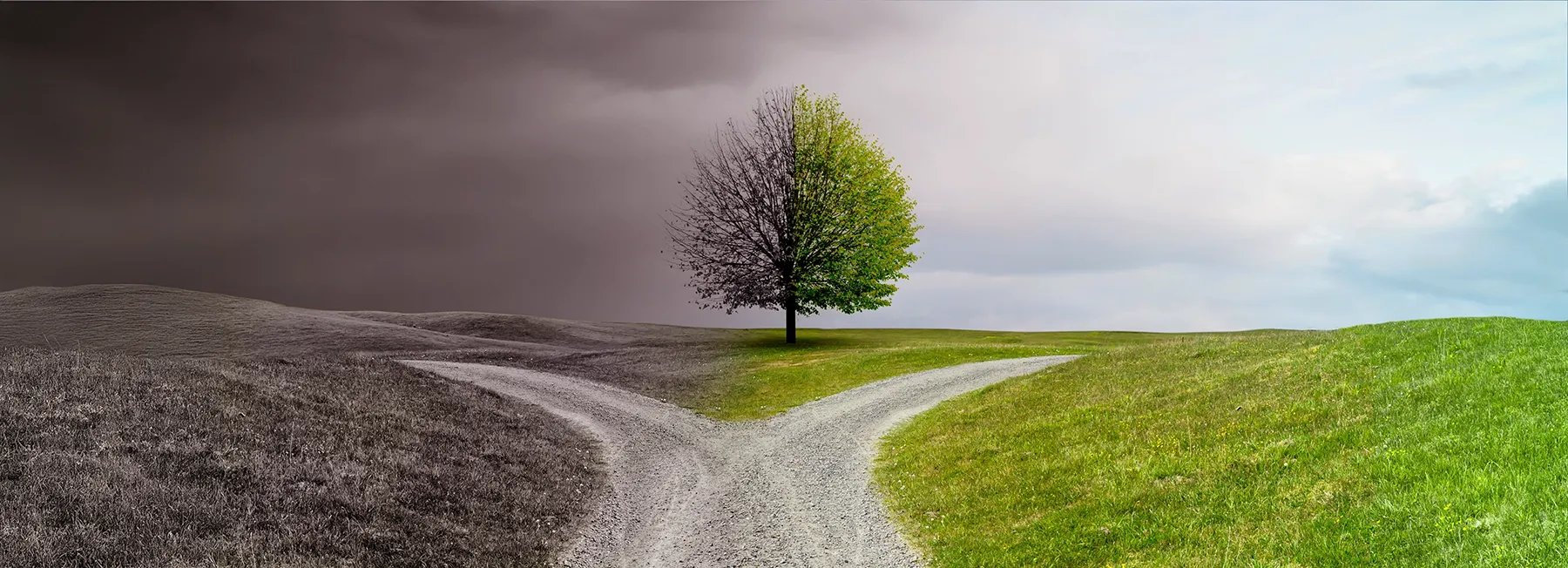 Reconnect Mental Health